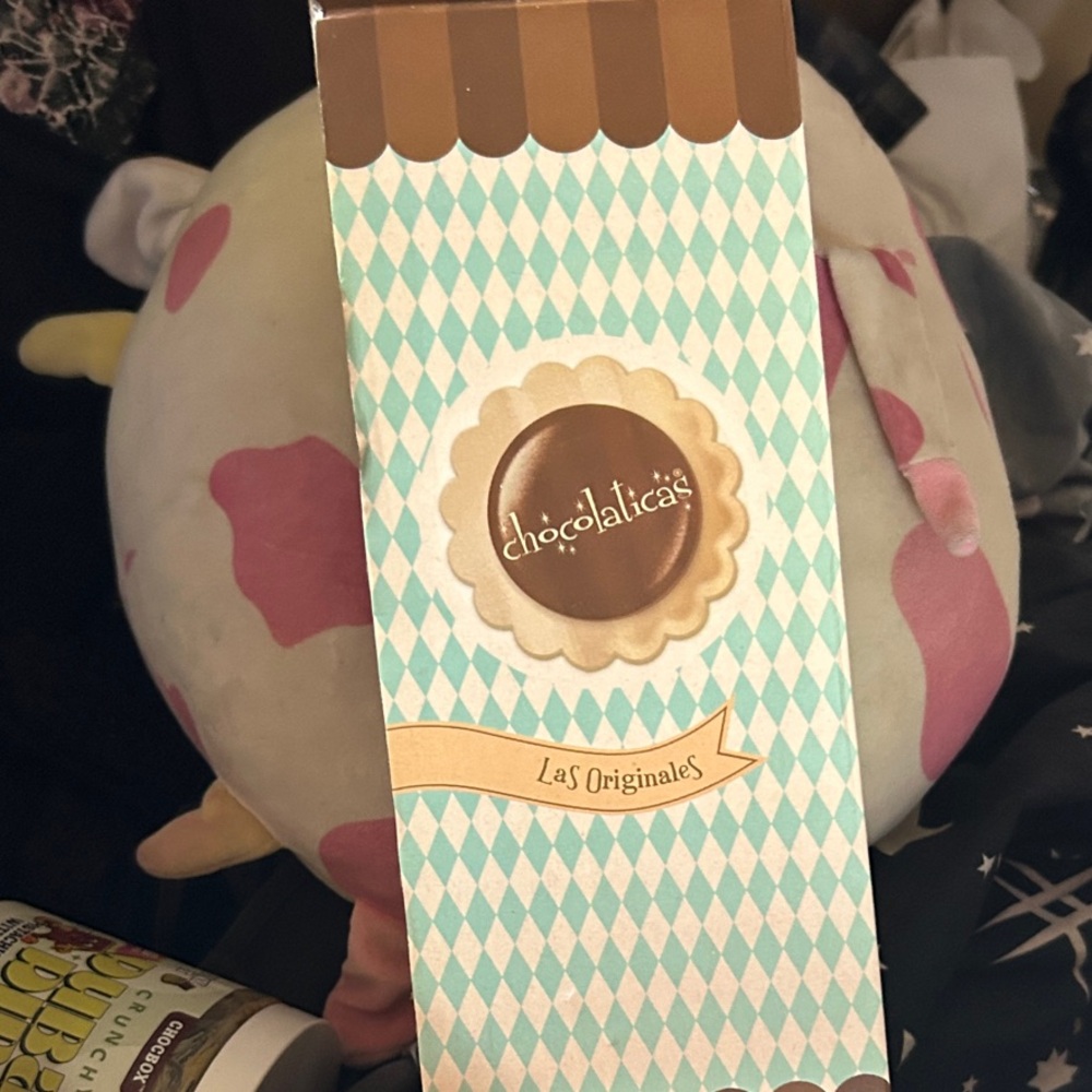 Chocolaticas Women's Flats in purple and black! NIB!